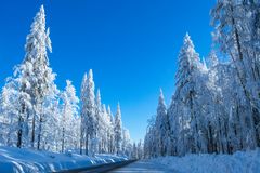 Bayerischer Wald im Winter