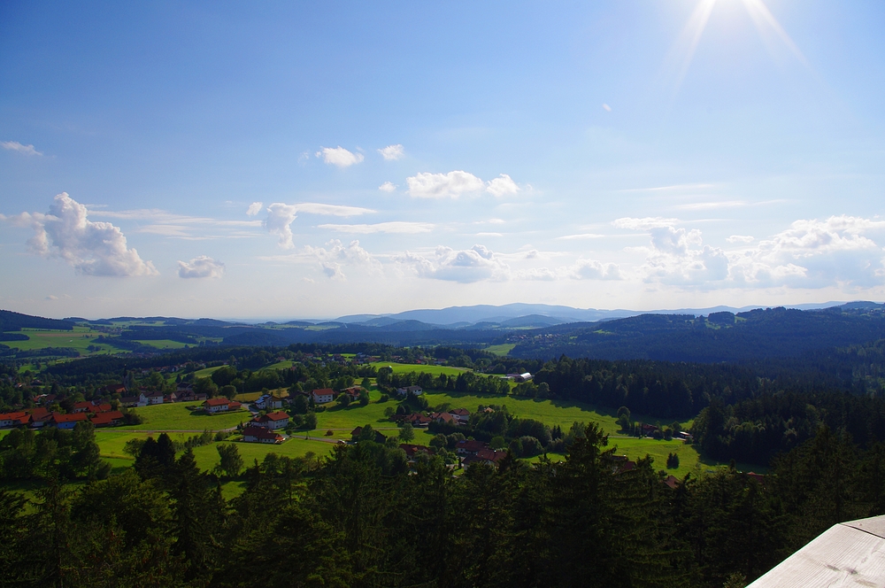 Bayerischer Wald Nähe Neuschönau von Fred Grimm 