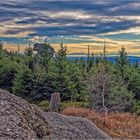 Bayerischer Wald: Rückeroberung.