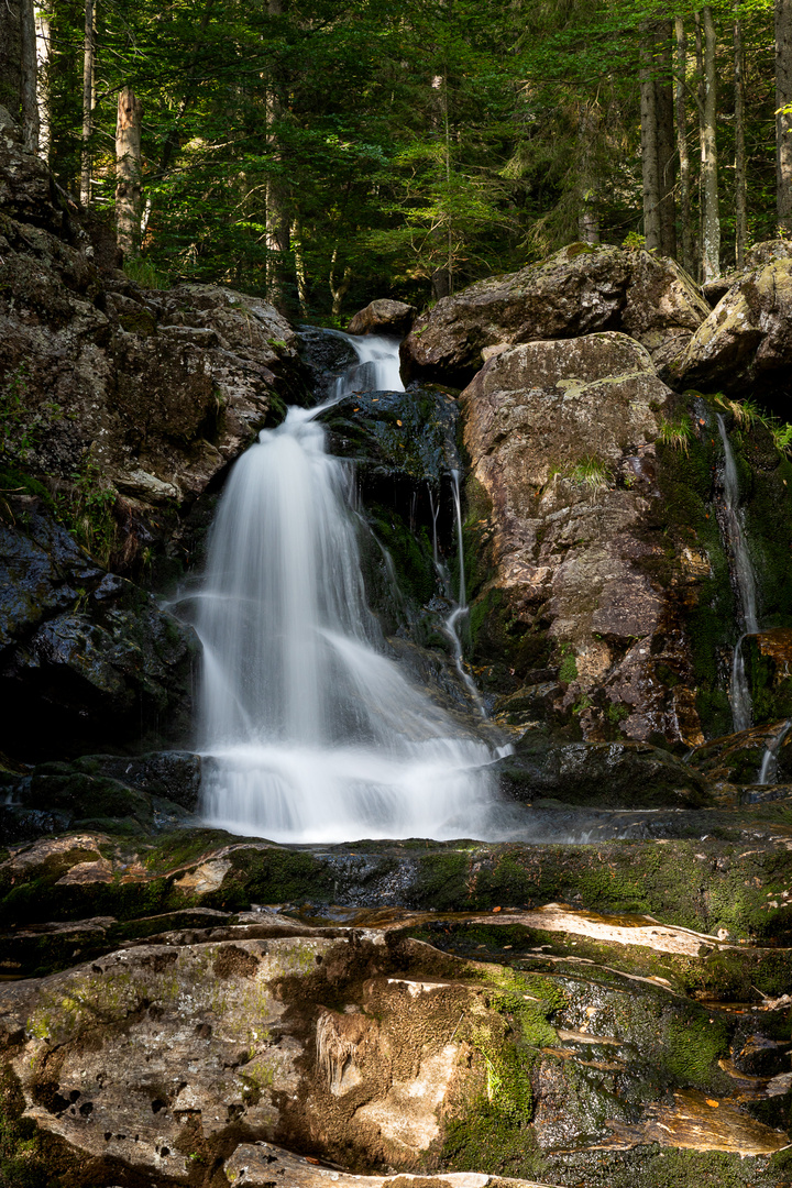 Bayerischer Wald - Sommerabkühlung