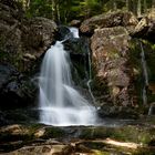 Bayerischer Wald - Sommerabkühlung