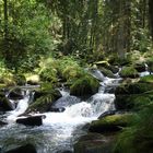 Bayerischer Wald – Waldkirchen – Saußbachklamm