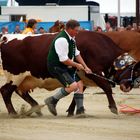 Bayerisches Zentral- Landwirtschaftsfest 2008