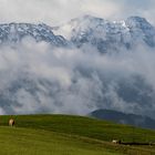 Bayern - Allgäu bei Füssen -20181002-26084