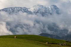 Bayern - Allgäu bei Füssen -20181002-26084