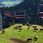 Bayern, Allgäu - Pfronten - Hochalpbahn auf dem Breitenberg