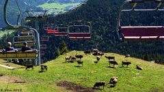 Bayern, Allgäu - Pfronten - Hochalpbahn auf dem Breitenberg