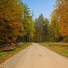 Bayern    - Herbstimpression -