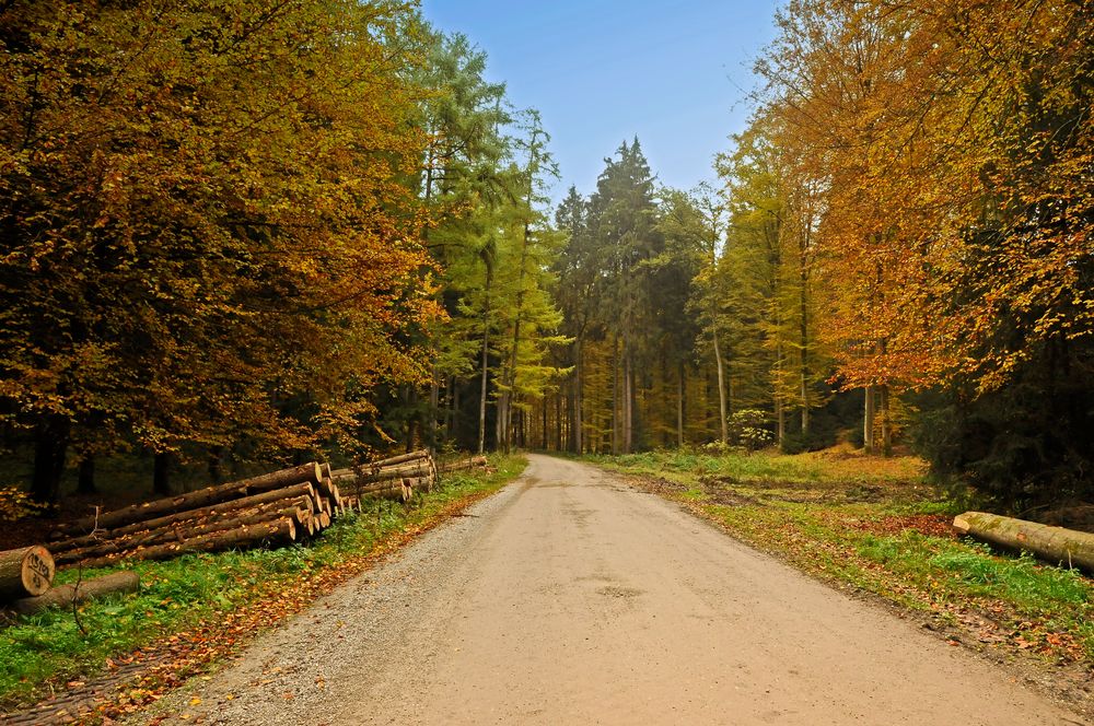 Bayern    - Herbstimpression -