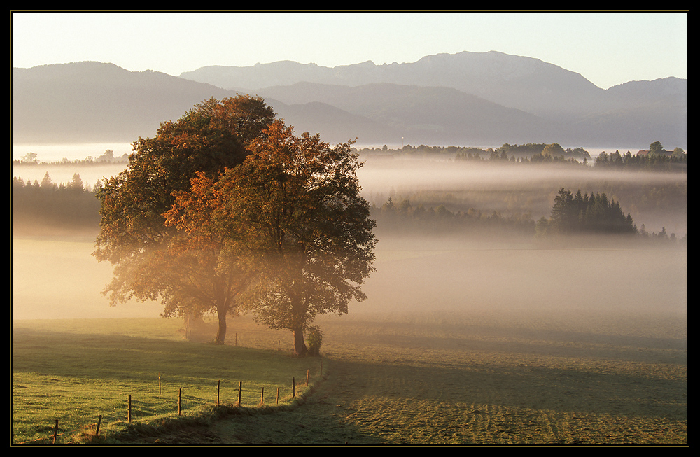 Bayern pur