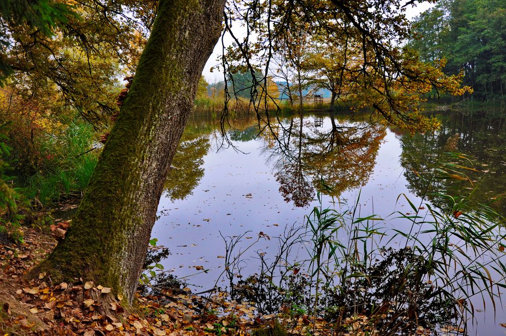  Bayern --Ruhe, Natur & Kultur--