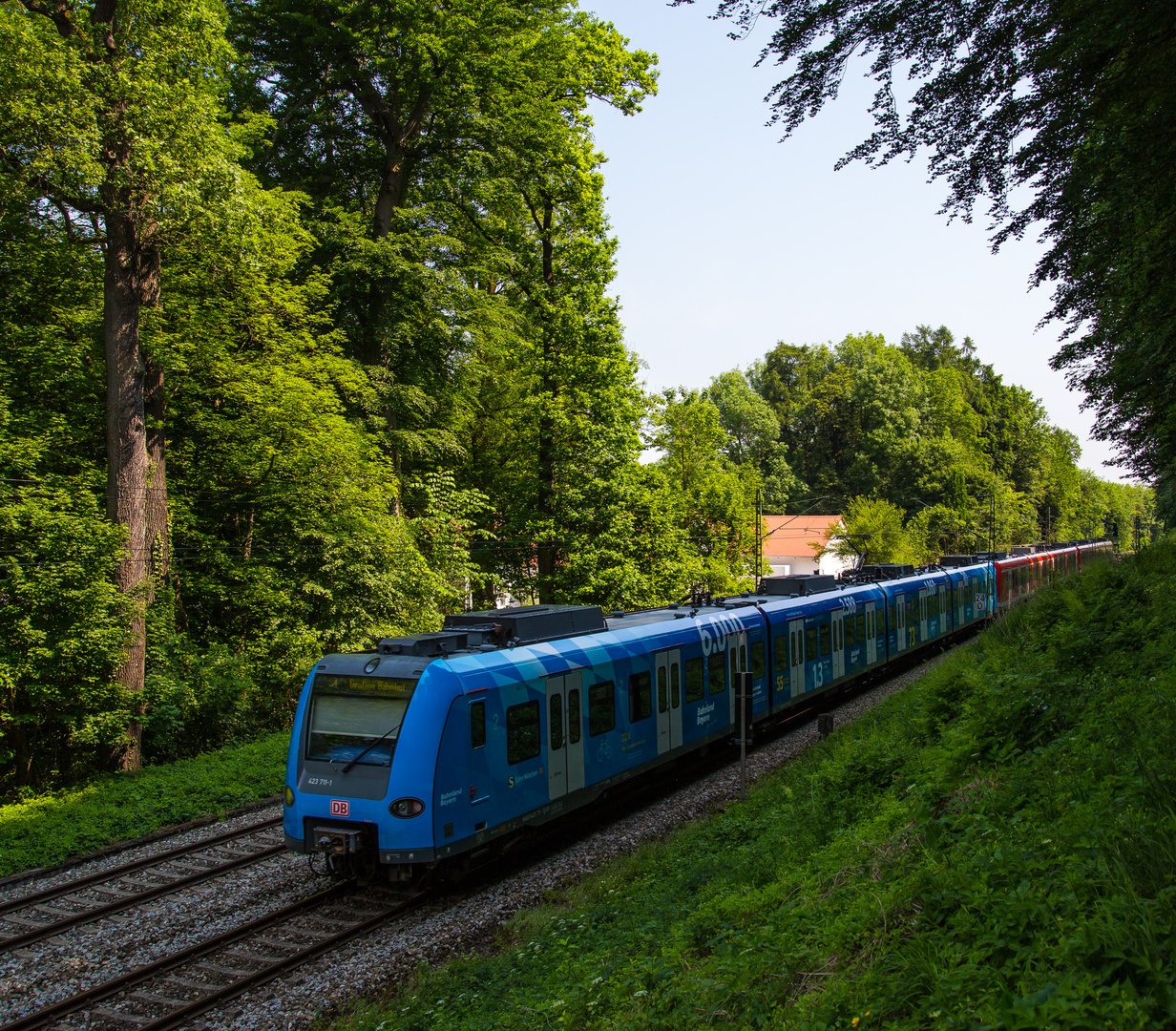 Bayern-S-Bahn im Schatten