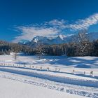 * Bayern Weiss-Blau ... *