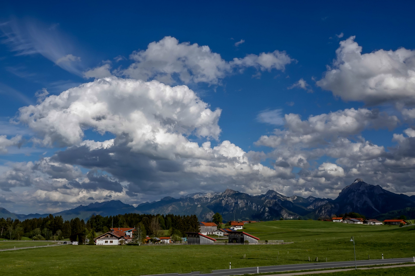 Bayern   -   weiß blau