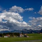 Bayern   -   weiß blau