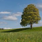 Bayernhimmel