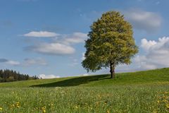 Bayernhimmel