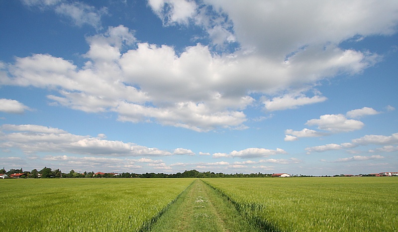 Bayernhimmel weiß-blau