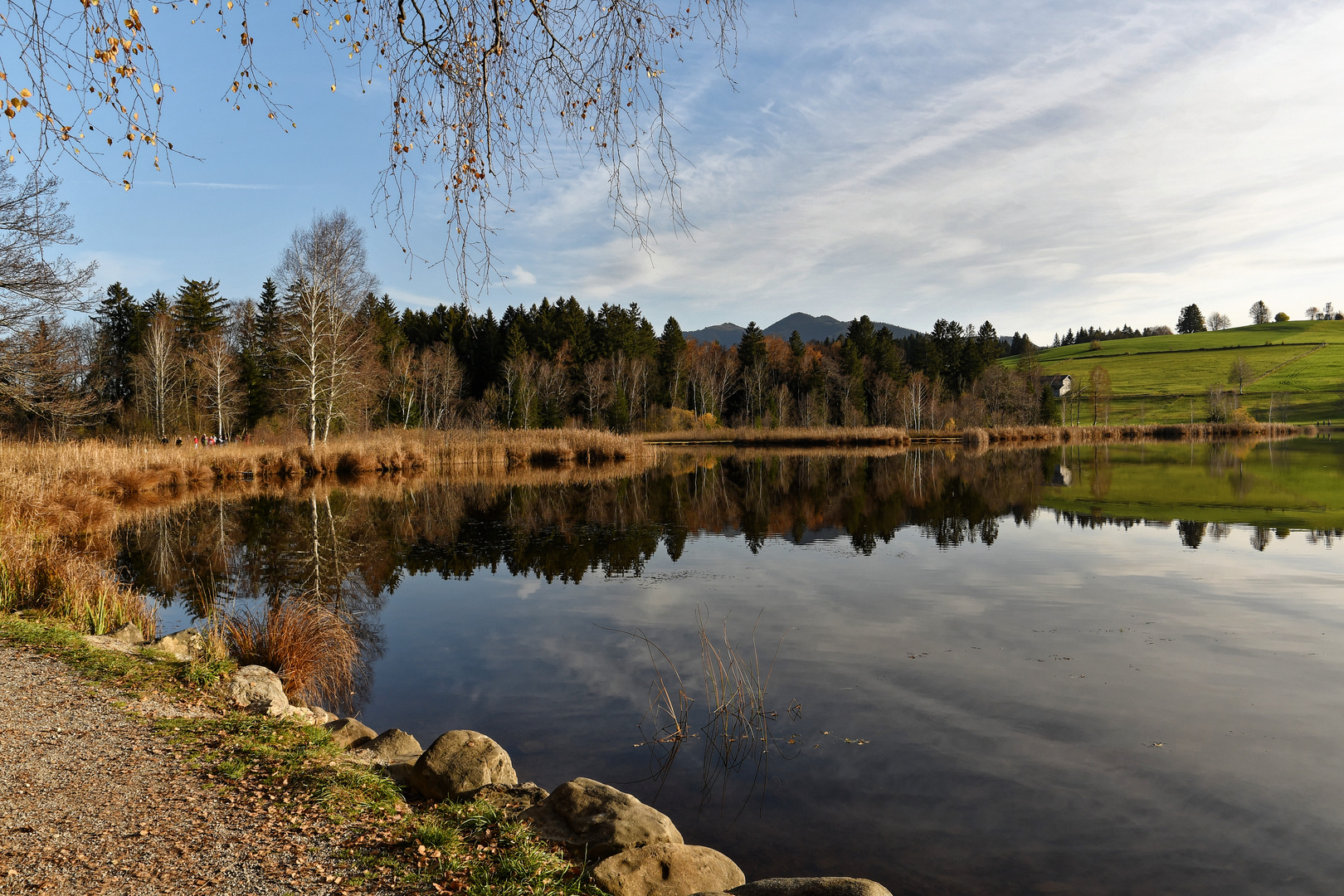 Bayersoiener See