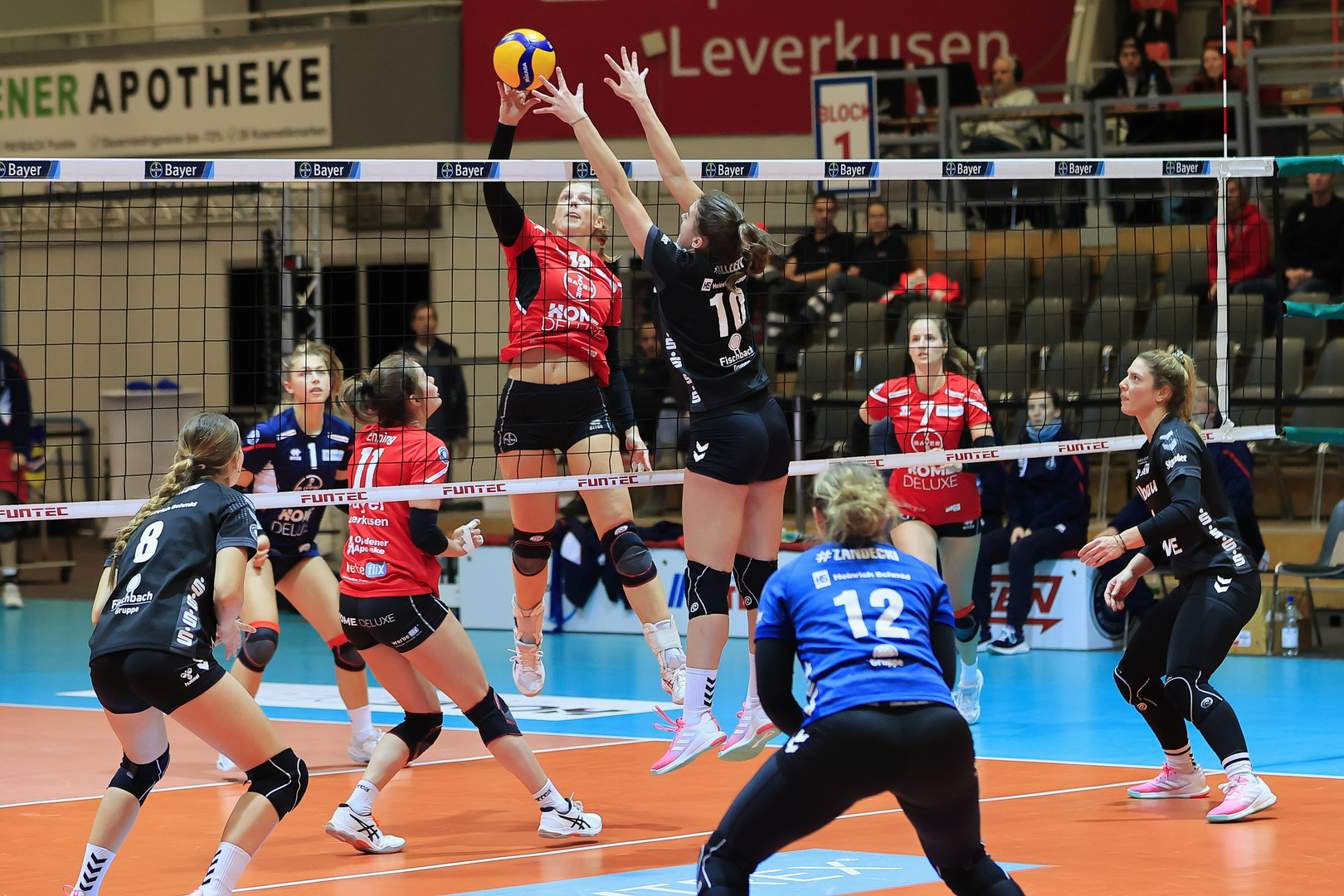 BayerVolleys vs Allbau Volleys Essen_0898