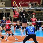 BayerVolleys vs Allbau Volleys Essen_0898