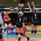 BayerVolleys vs Allbau Volleys Essen_0968