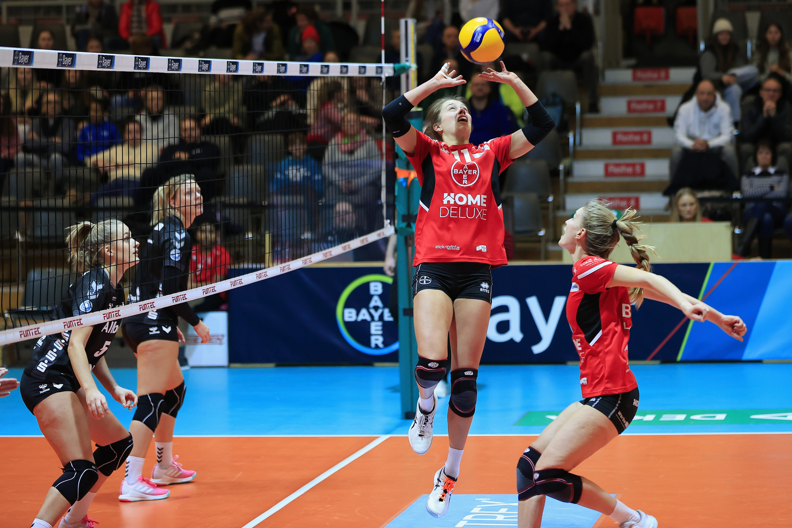 BayerVolleys vs Allbau Volleys Essen_1077