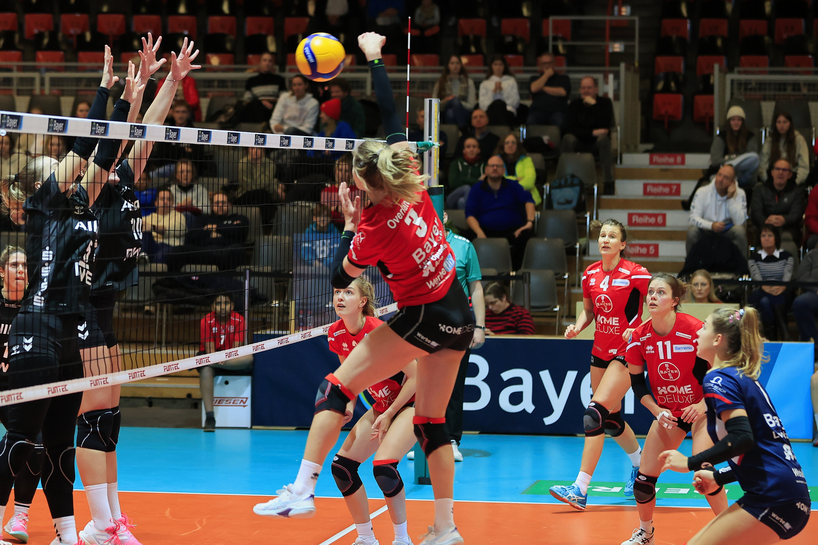 BayerVolleys vs Allbau Volleys Essen_1246