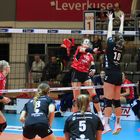 BayerVolleys vs Allbau Volleys Essen_1332