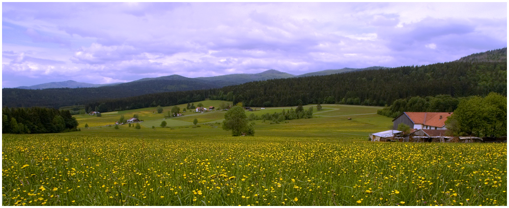 BAYERWALD