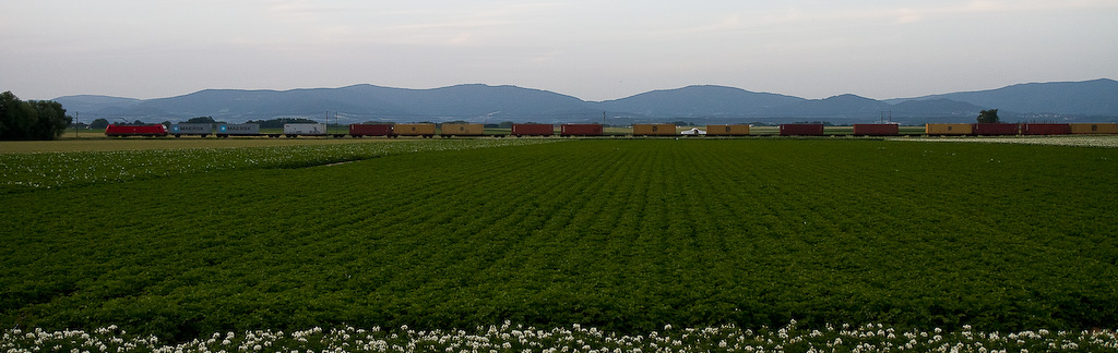 Bayerwald-Blick (1)