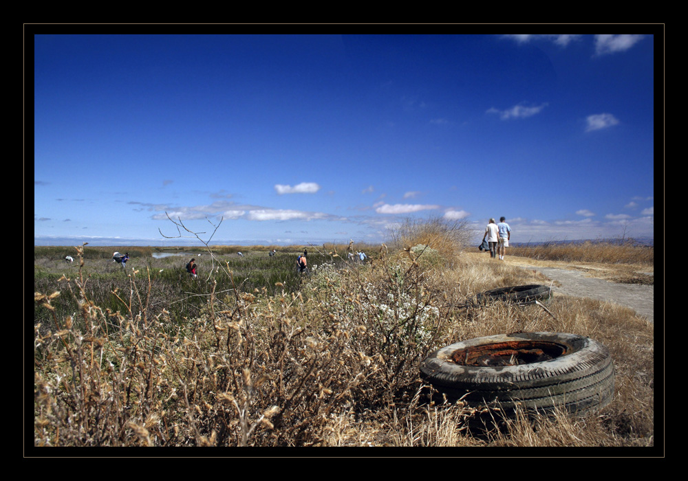 Baylands (2007)