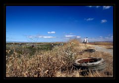 Baylands (2007)