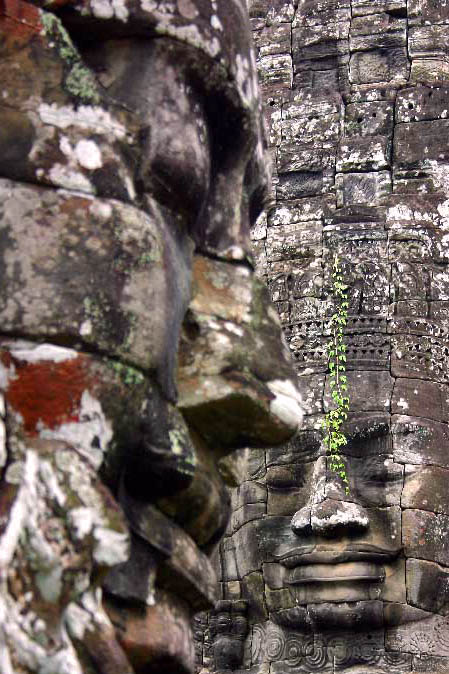 Bayon