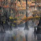 BAYOU AUTUMN