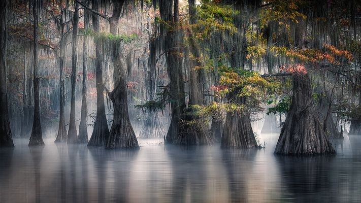 BAYOU