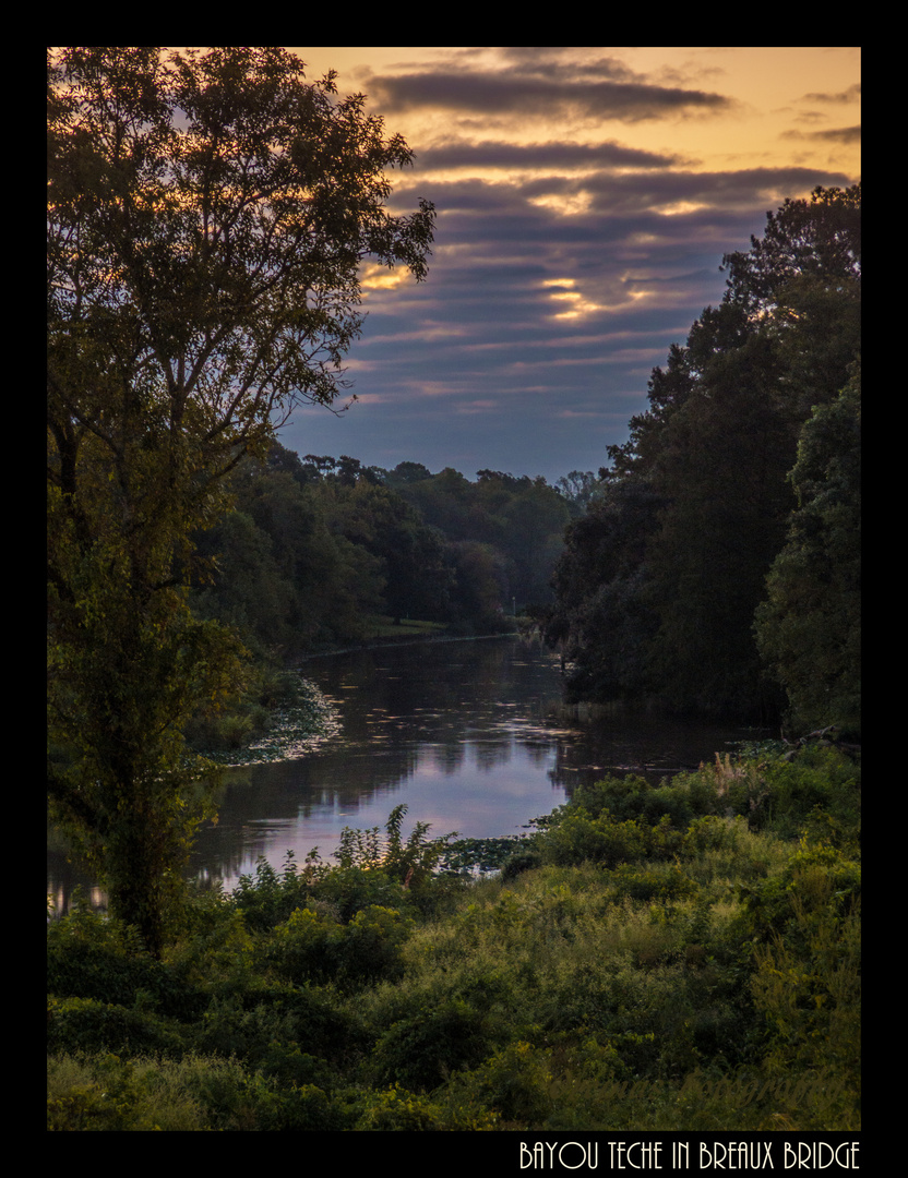 Bayou Teche Dawn