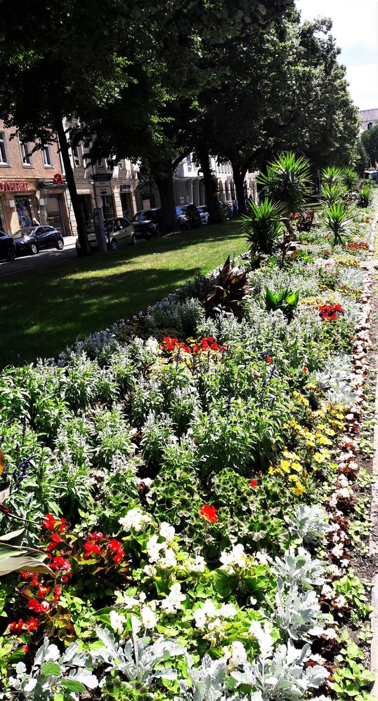 Bayreuth :Blumen unter /neben Bäumen