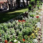 Bayreuth :Blumen unter /neben Bäumen