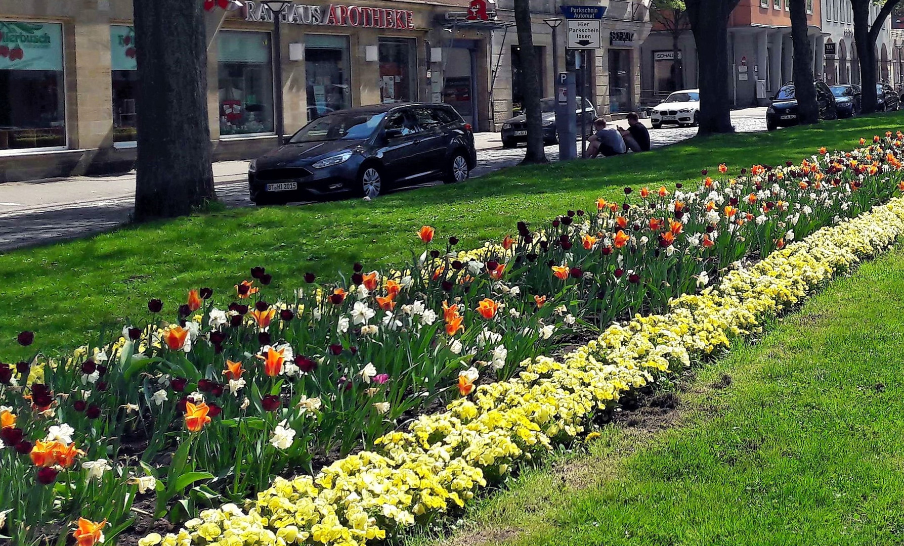 Bayreuth : Blumenband an der Bahnhofsstraße Richtung Innenstadt