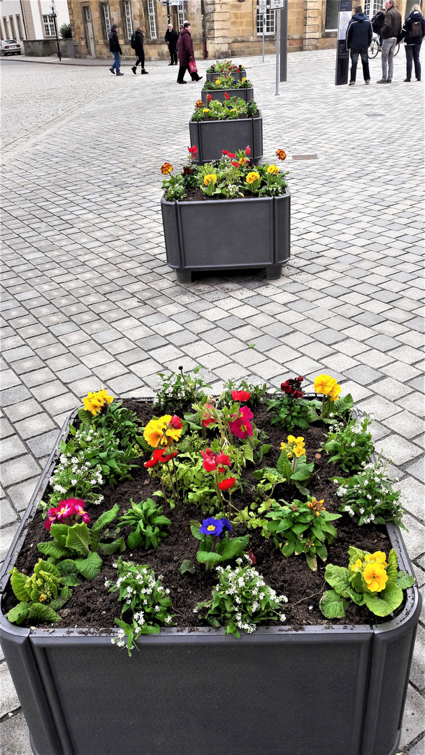 Bayreuth :Blumenkästen als Verkehrsberuhigung Opernstrasse (Weltkulturerbe Opernhaus)