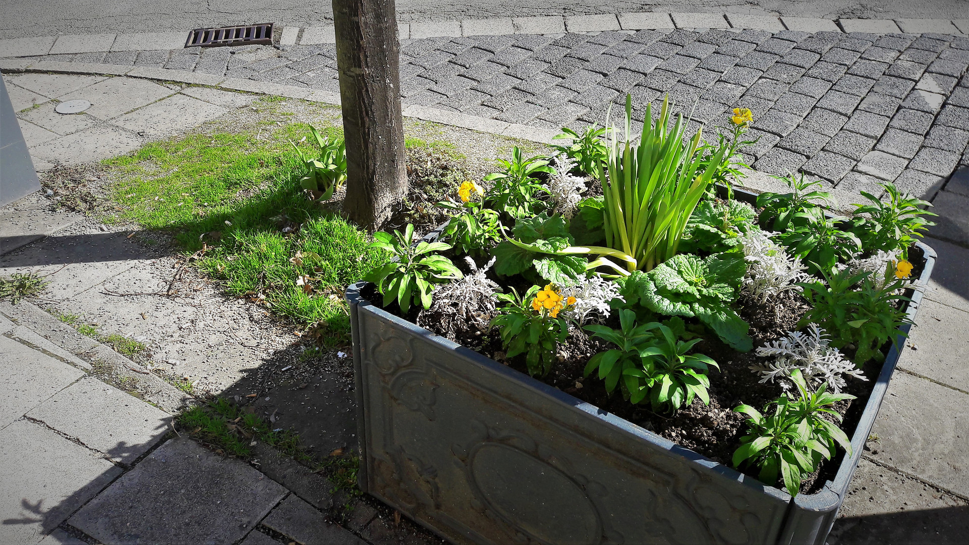 Bayreuth : Blumenkasten Nähe Bahnhof