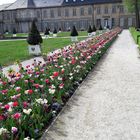 Bayreuth  :Blumenrabatte im Hofgarten