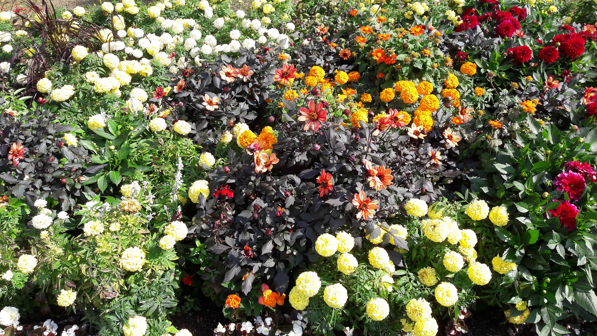 Bayreuth . Blumenschmuck zur Festspielzeit und danach