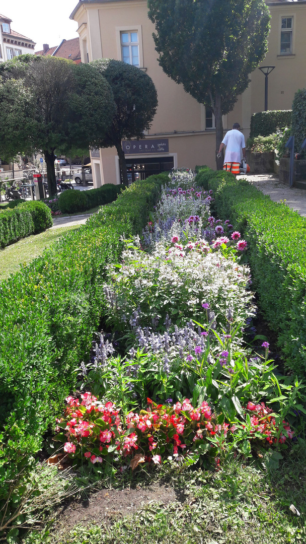 Bayreuth :Blumenterrasse unter der Schlosskirche