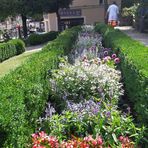 Bayreuth :Blumenterrasse unter der Schlosskirche