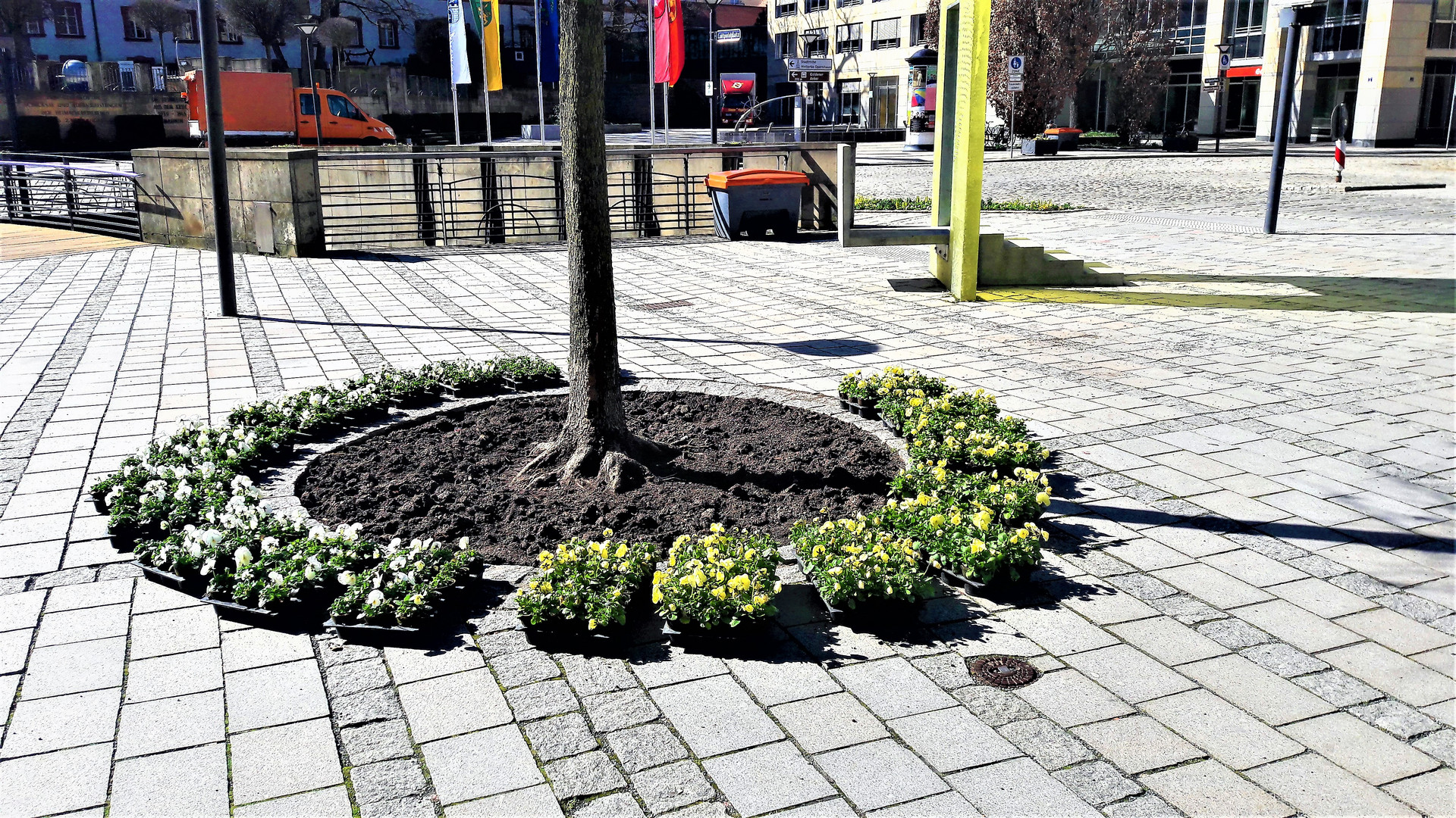 Bayreuth : Bunt und Blumen zum Frühjahrsanfang