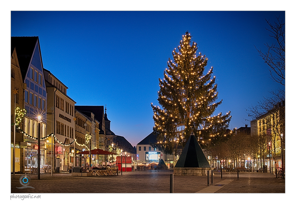 Bayreuth | Der Weihnachtsbaum