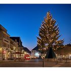 Bayreuth | Der Weihnachtsbaum