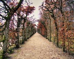 Bayreuth - Eremitage